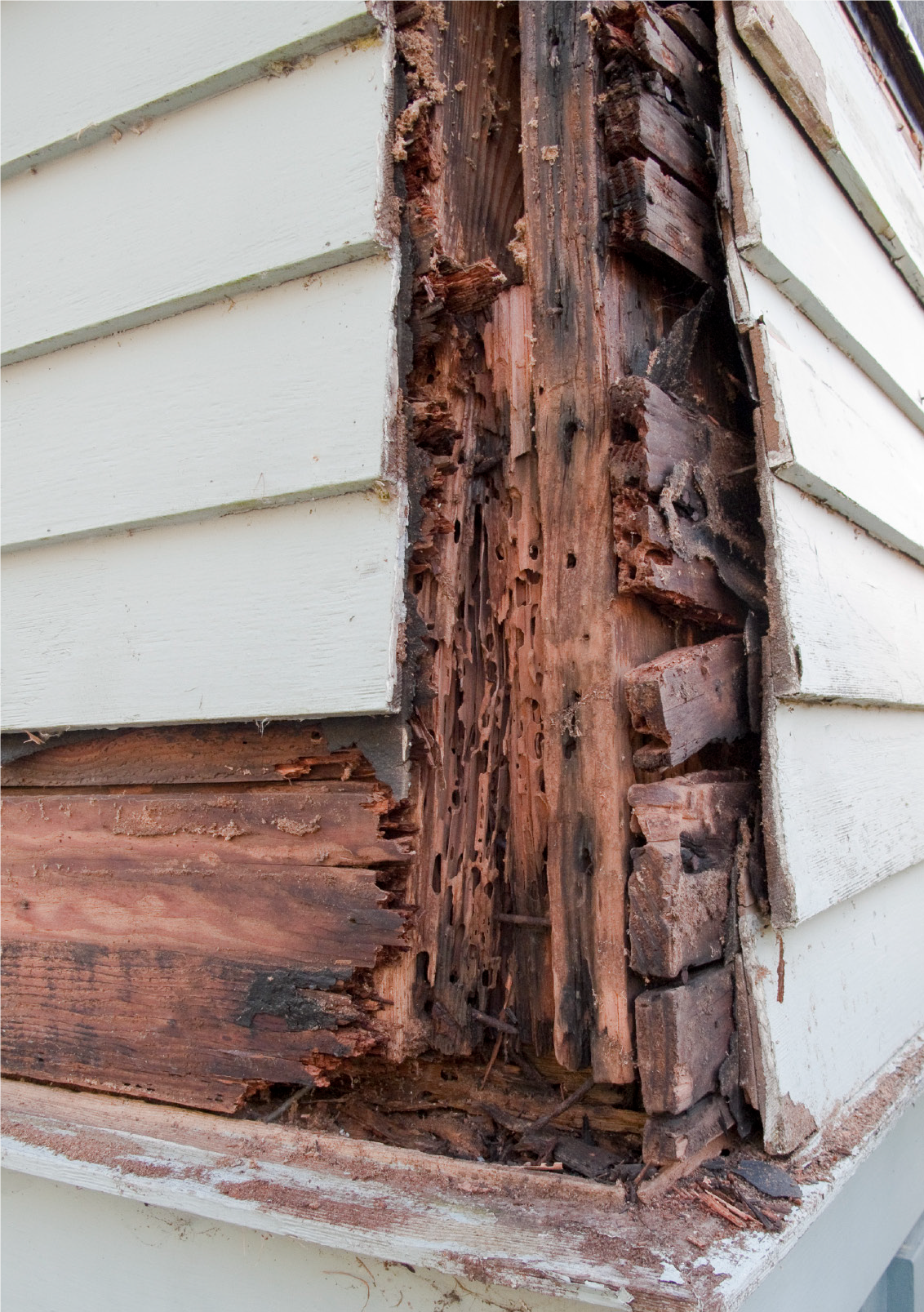 dry rot at corner of house