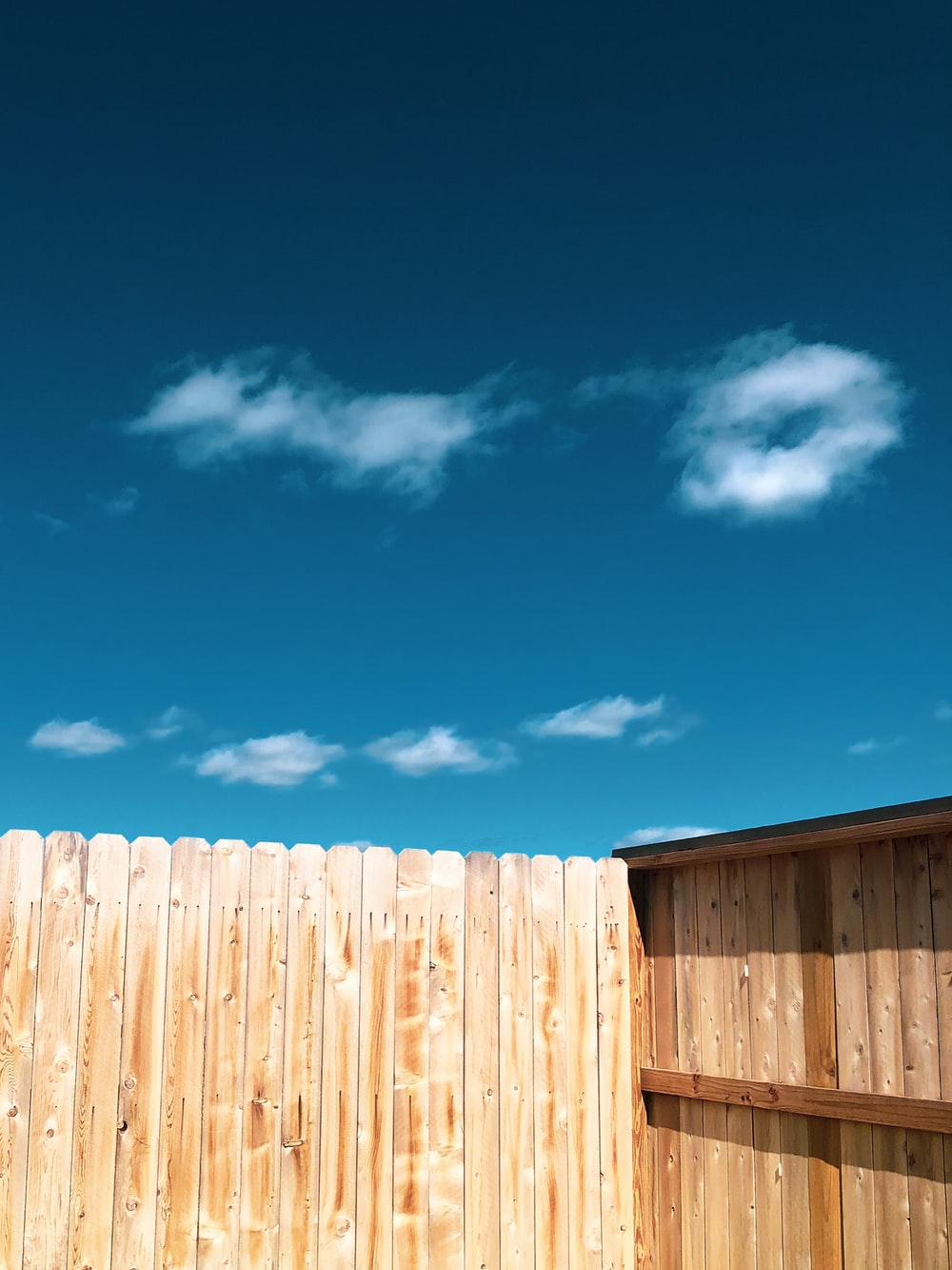 brown wooden fence under blue sky during daytime