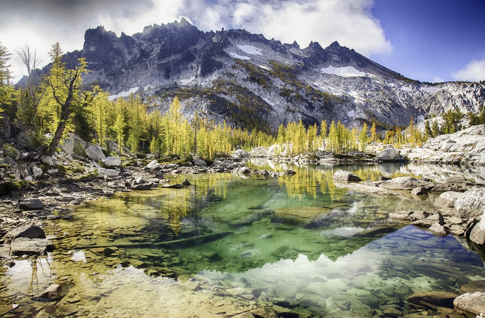 green and yellow trees near mountain during daytime