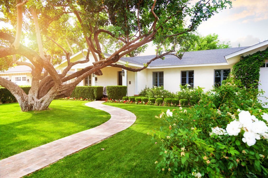 landscaped yard