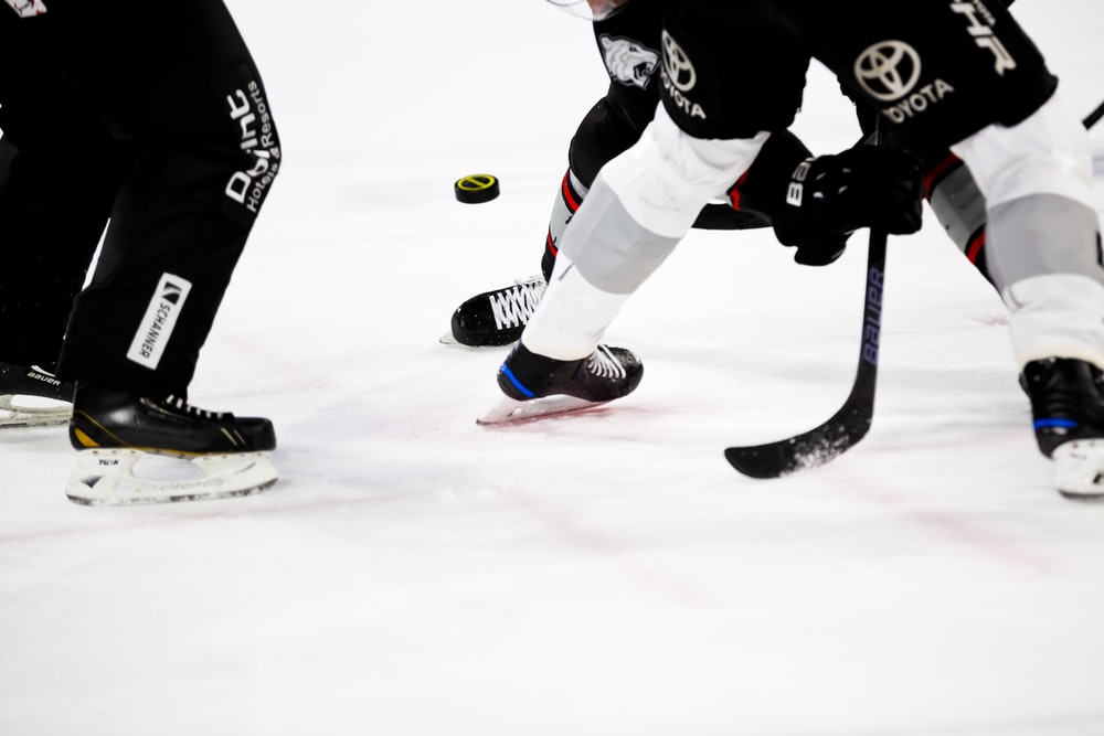 people playing ice hockey